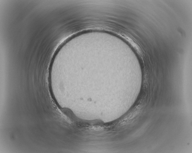 X0000115440799200912020944