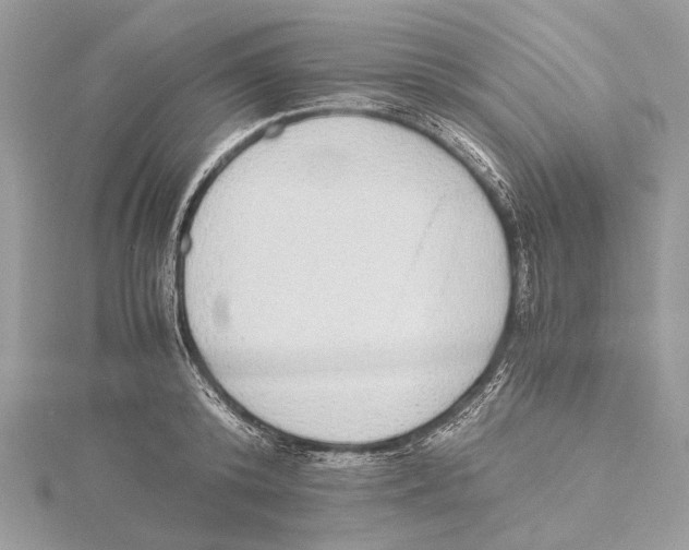 X0000115440800200912020944