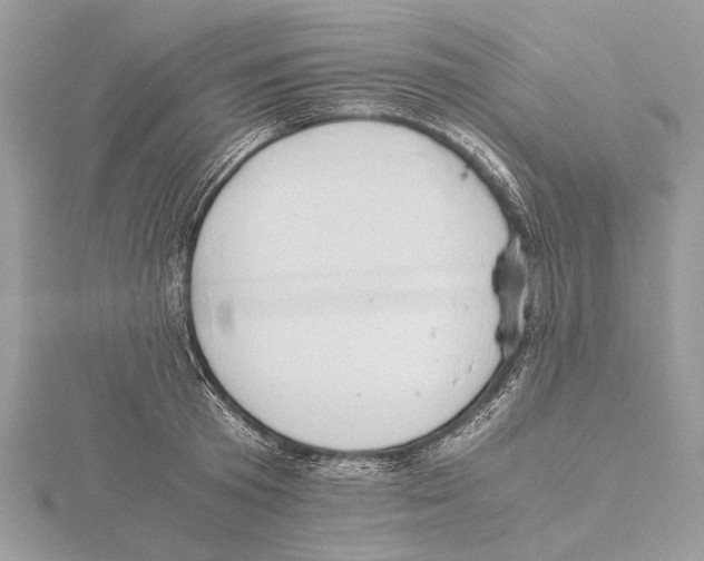 X0000115440801200912020944