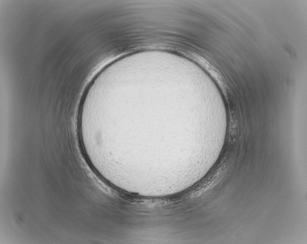 X0000115440803200912020944