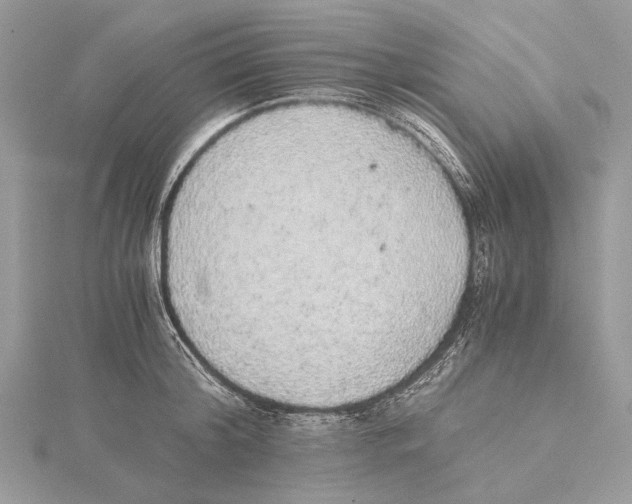 X0000115440804200912020944