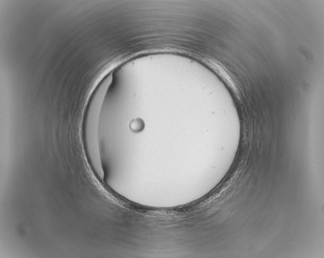 X0000115440805200912020944