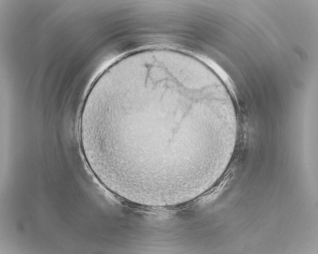 X0000115440807200912020944