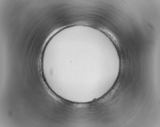 X0000115440808200912020944