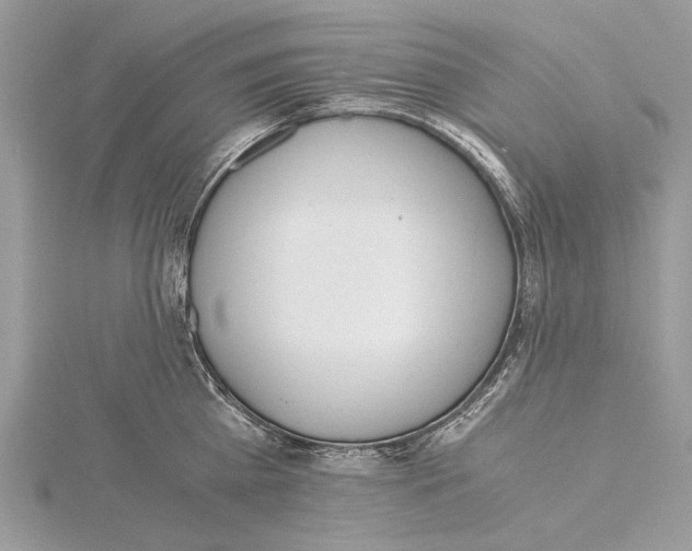 X0000115440809200912020944