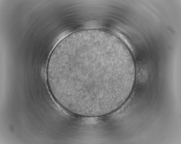 X0000115440810200912020944