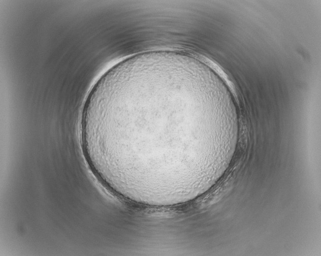 X0000115440811200912020944