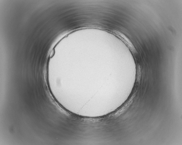 X0000115440812200912020944