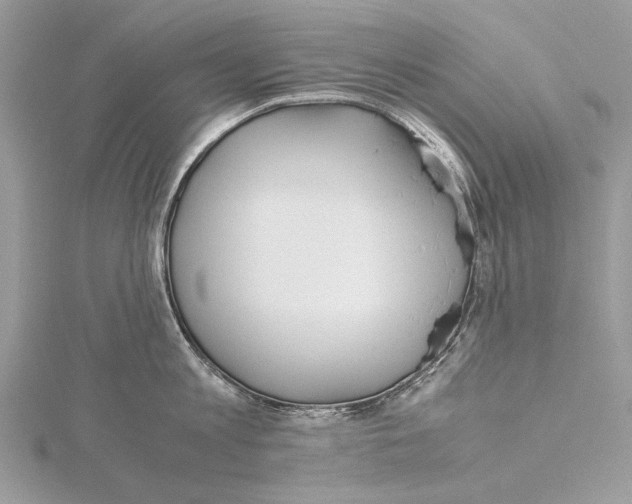 X0000115440813200912020944