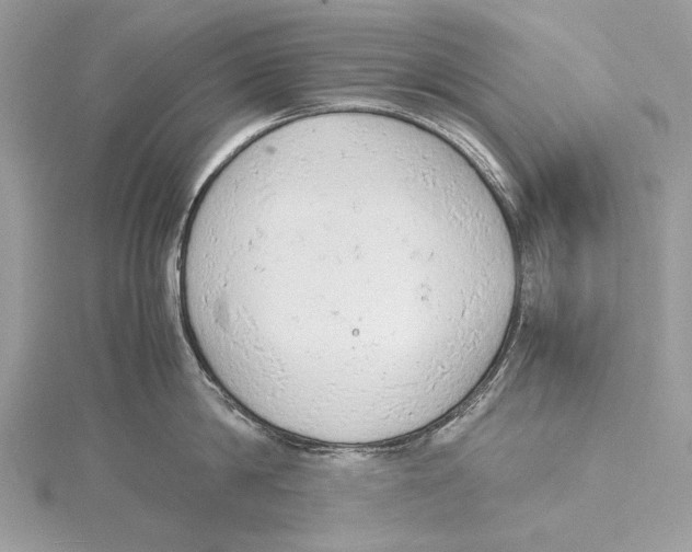 X0000115440814200912020944