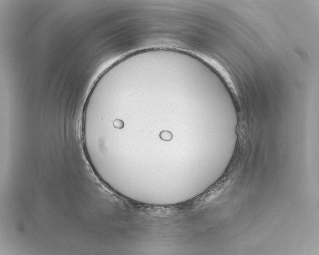 X0000115440815200912020944