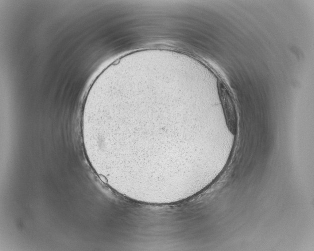 X0000115440816200912020944