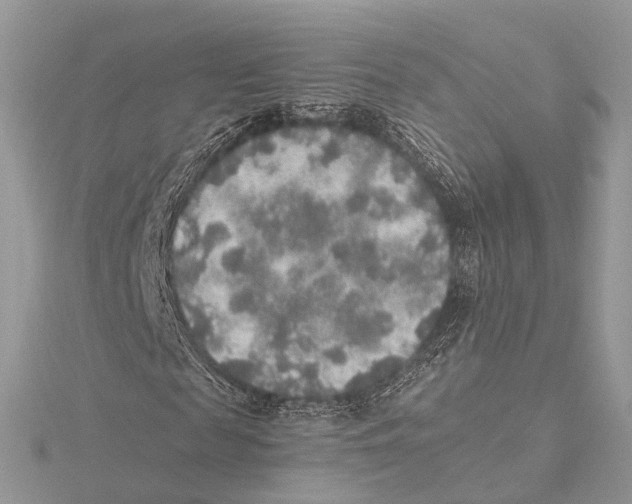 X0000115440817200912020943