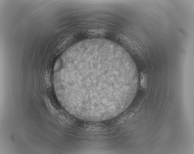 X0000115440819200912020943