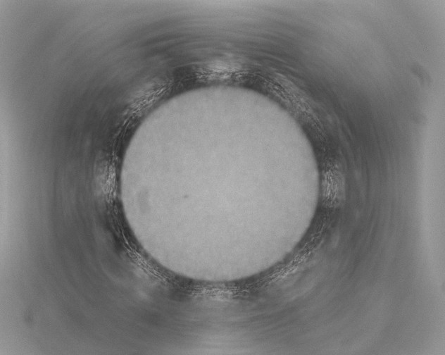 X0000115440820200912020943