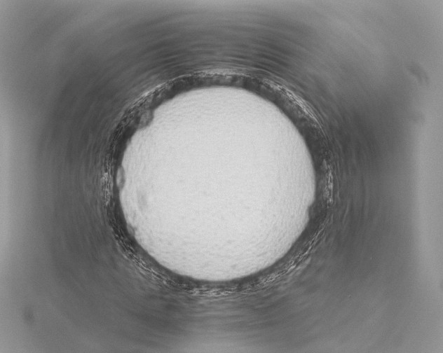 X0000115440821200912020943