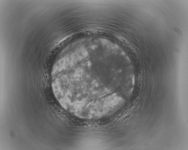 X0000115440822200912020943