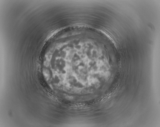 X0000115440823200912020943