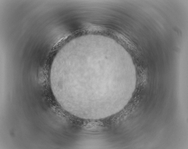 X0000115440824200912020943