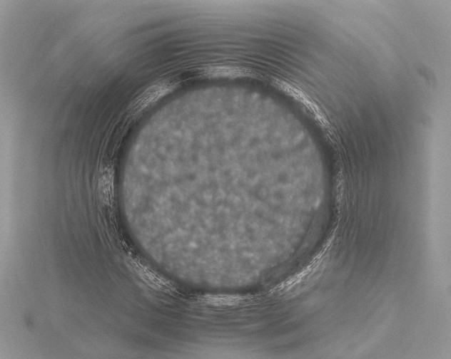 X0000115440825200912020943