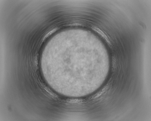 X0000115440826200912020943