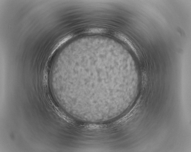 X0000115440827200912020943