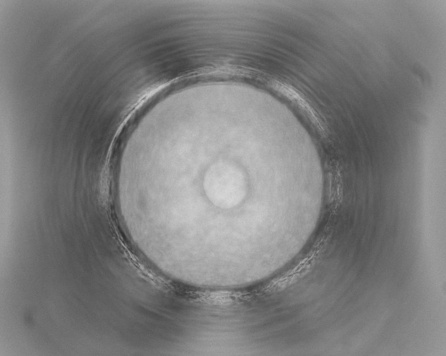 X0000115440828200912020943