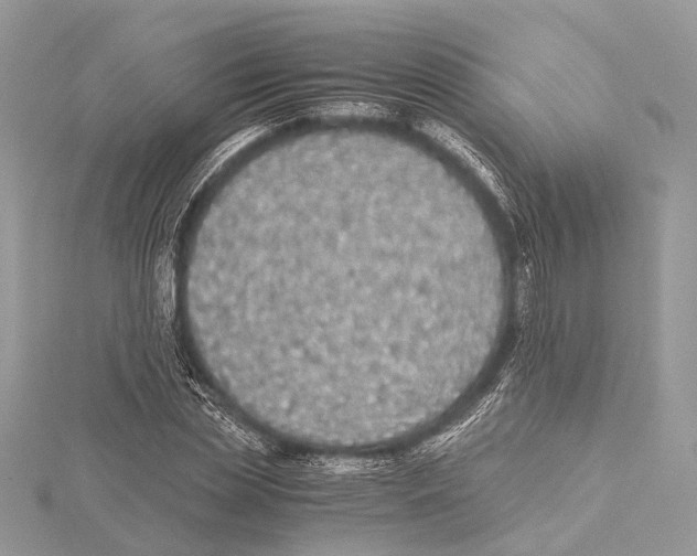 X0000115440829200912020943