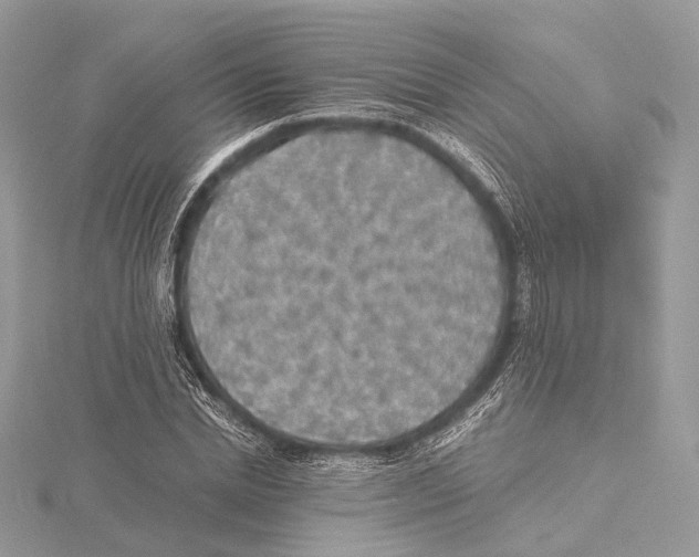 X0000115440830200912020943