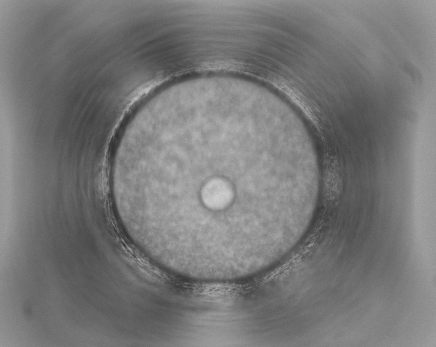 X0000115440832200912020943