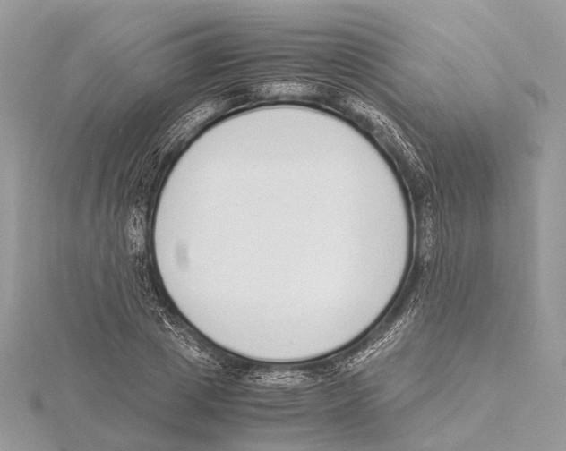 X0000115440833200912020943