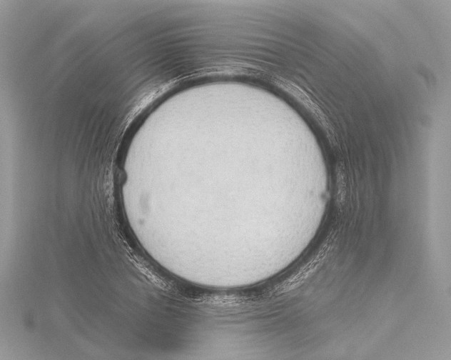 X0000115440834200912020943