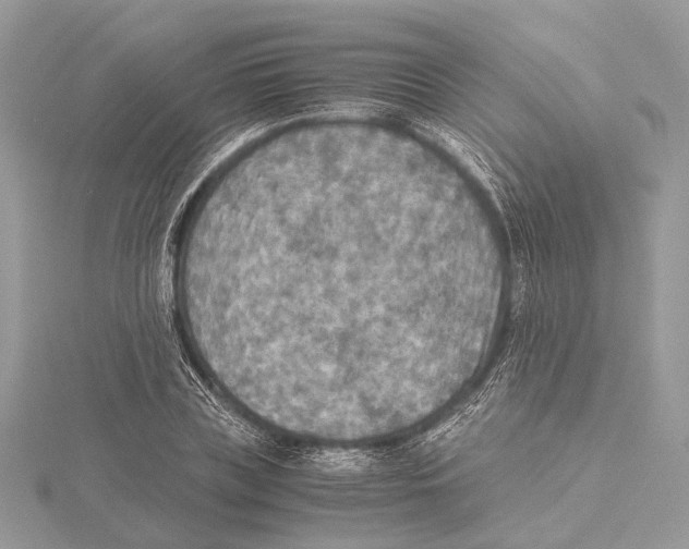 X0000115440835200912020943