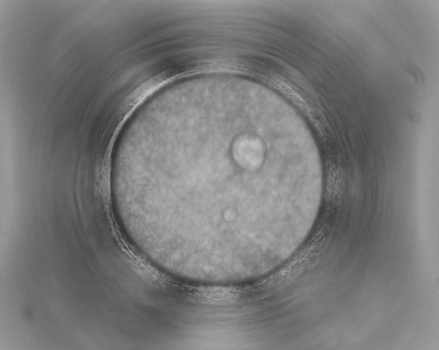 X0000115440836200912020943