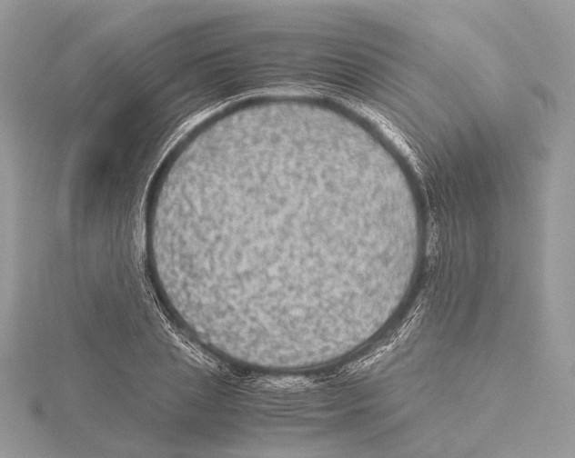 X0000115440837200912020943