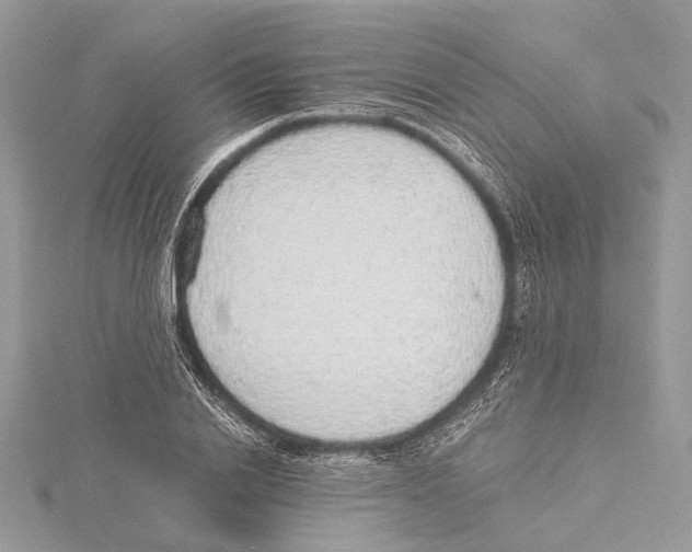 X0000115440838200912020943