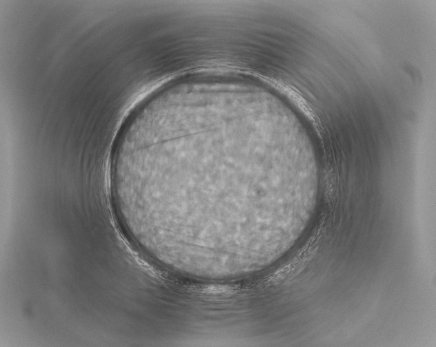 X0000115440839200912020943