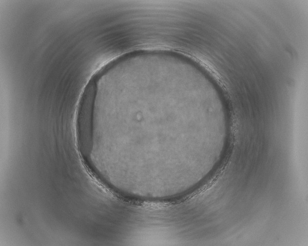 X0000115440840200912020943