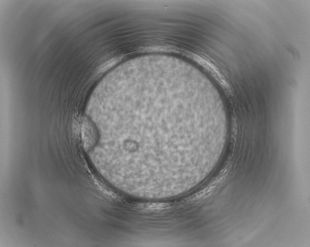 X0000115440841200912020943