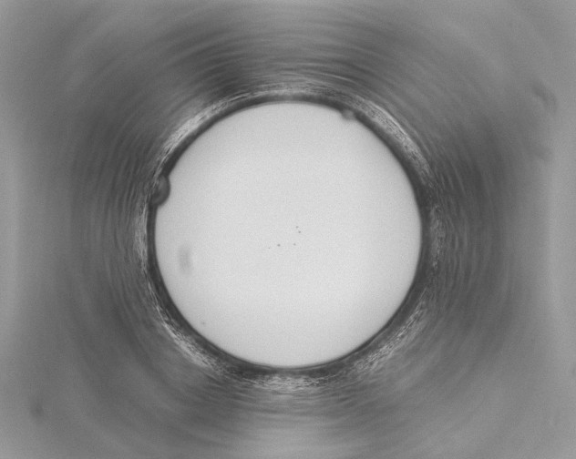 X0000115440842200912020943