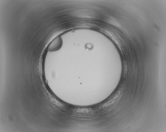 X0000115440843200912020943