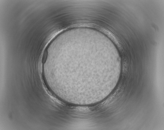 X0000115440844200912020943