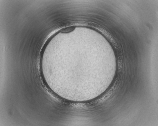 X0000115440846200912020943