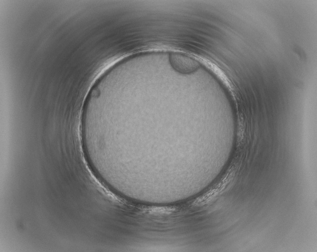 X0000115440847200912020943