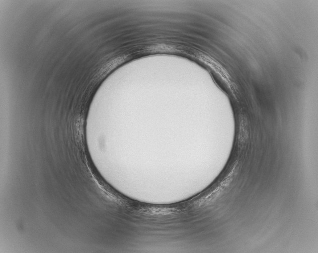 X0000115440849200912020943