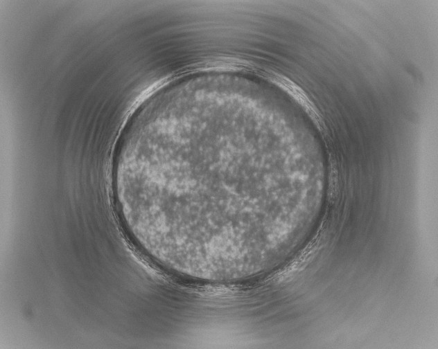 X0000115440850200912020943