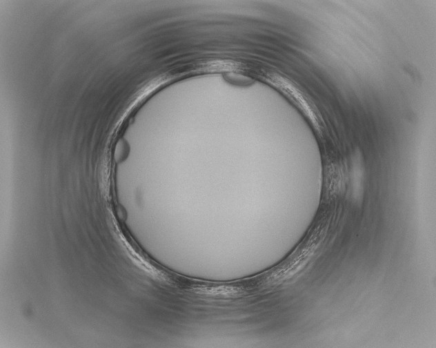 X0000115440851200912020943