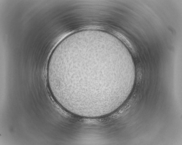 X0000115440852200912020943