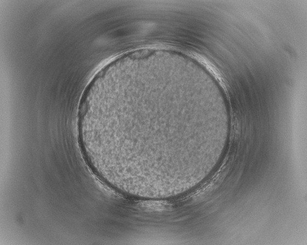 X0000115440853200912020943