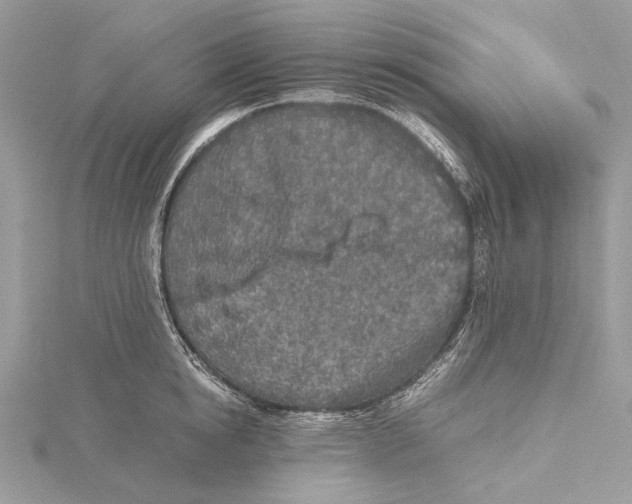 X0000115440854200912020943